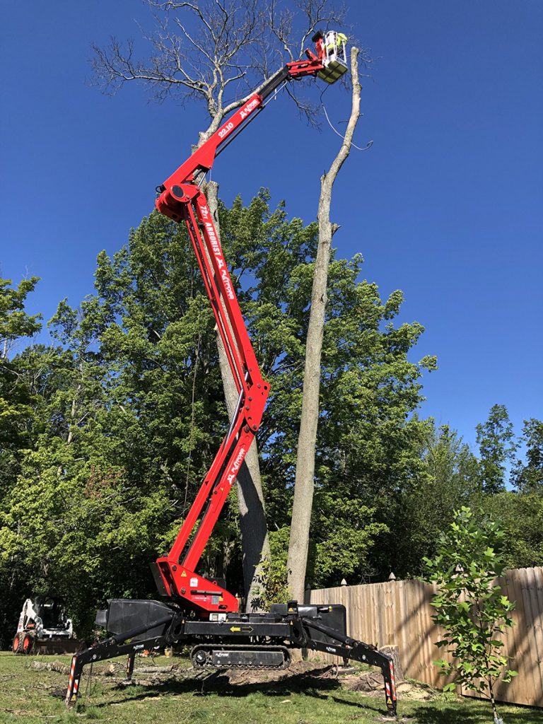 Tree Removal Service - WoodChuck Tree Service | Grand Island, NY