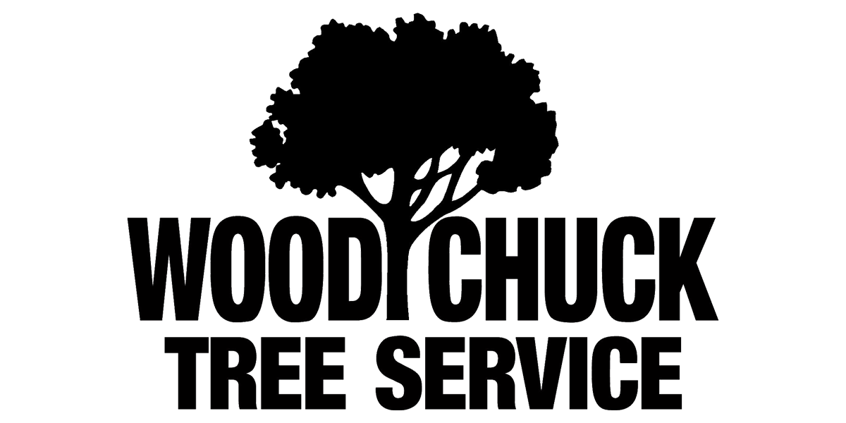 WoodChuck Tree Service