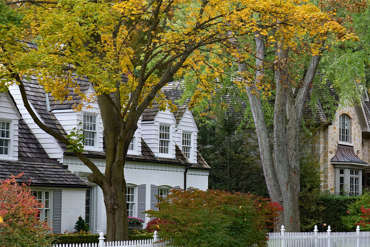 WoodChuck Tree Service, tree removal service, tree removal, tree pruning, tree trimming, two forms of tree crotches, tree crotches