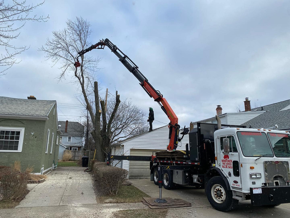 Gallery WoodChuck Tree Service Grand Island, NY