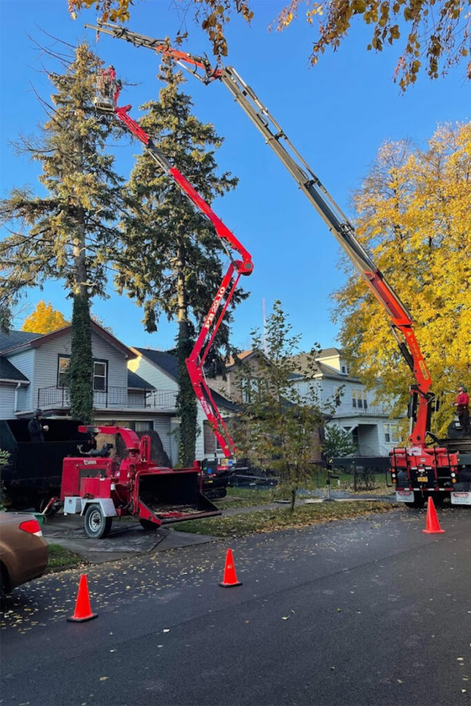 WoodChuck Tree Service, tree removal service, tree removal, tree pruning, tree trimming, large tree removal wny