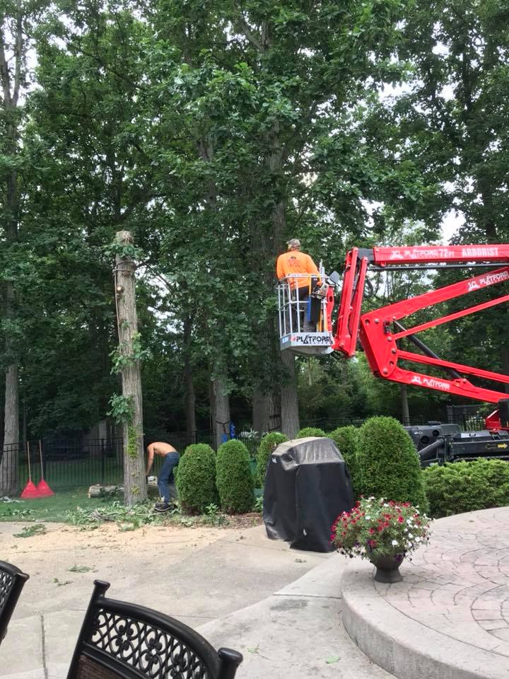 WoodChuck Tree Service removing a tree in Lancaster, NY for spring cleaning.