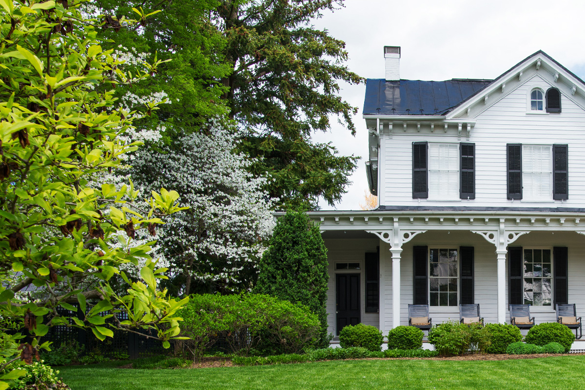 A bunch of trees growing closely to a house.