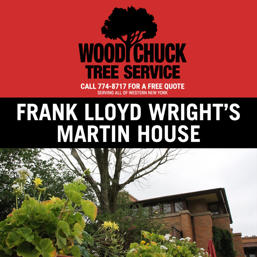 WoodChuck Tree Service removing dead tree at Frank Lloyd Wright’s Martin House.