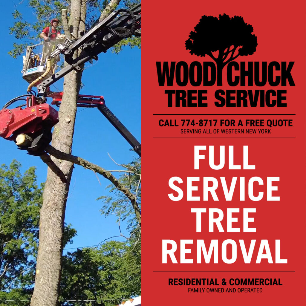 WoodChuck Tree Service offers residential and commercial full service tree removal.