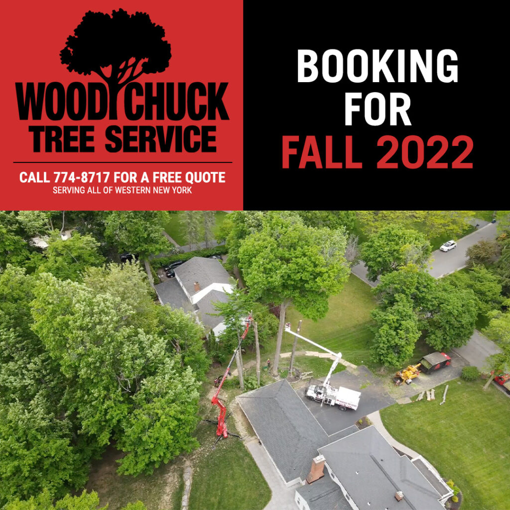WoodChuck Tree Service is now booking fall tree removal.