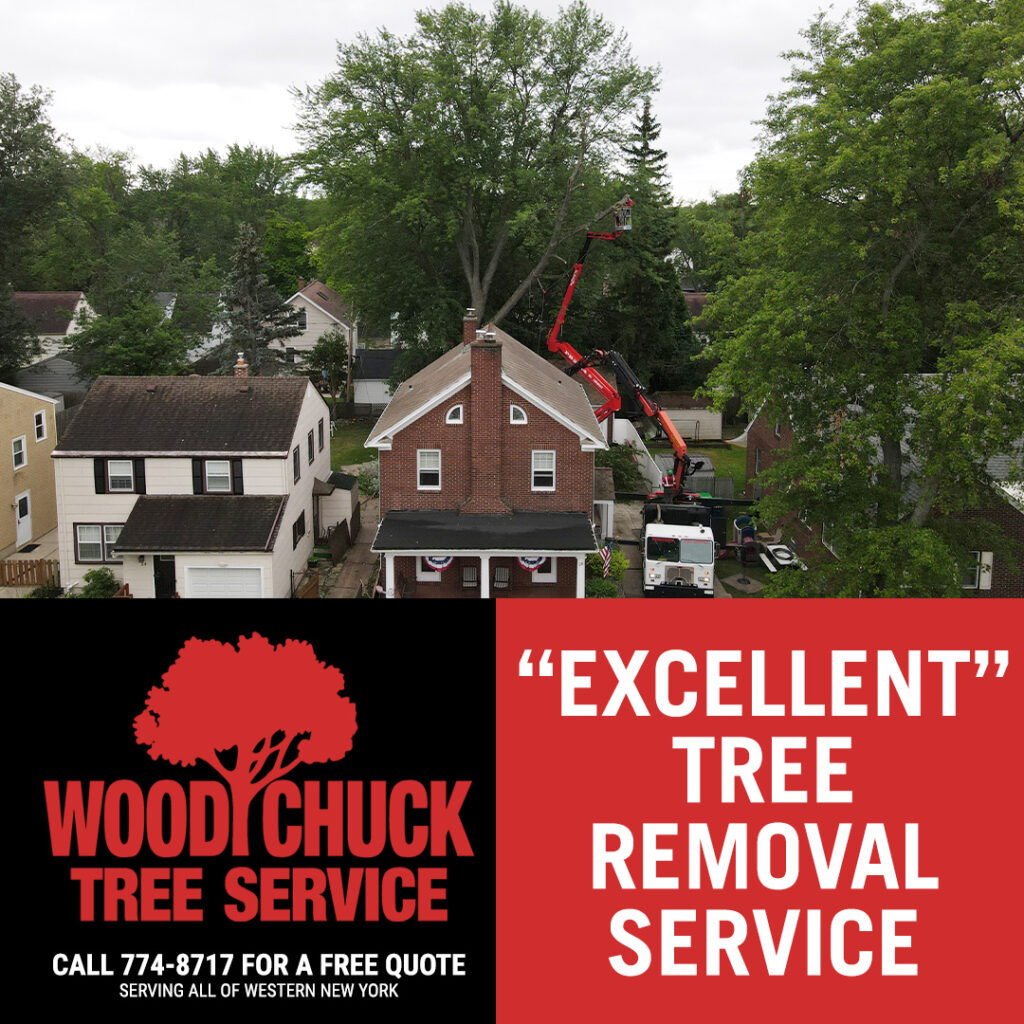 WoodChuck Tree Service strives to provide excellent tree removal service at all jobs, large or small.