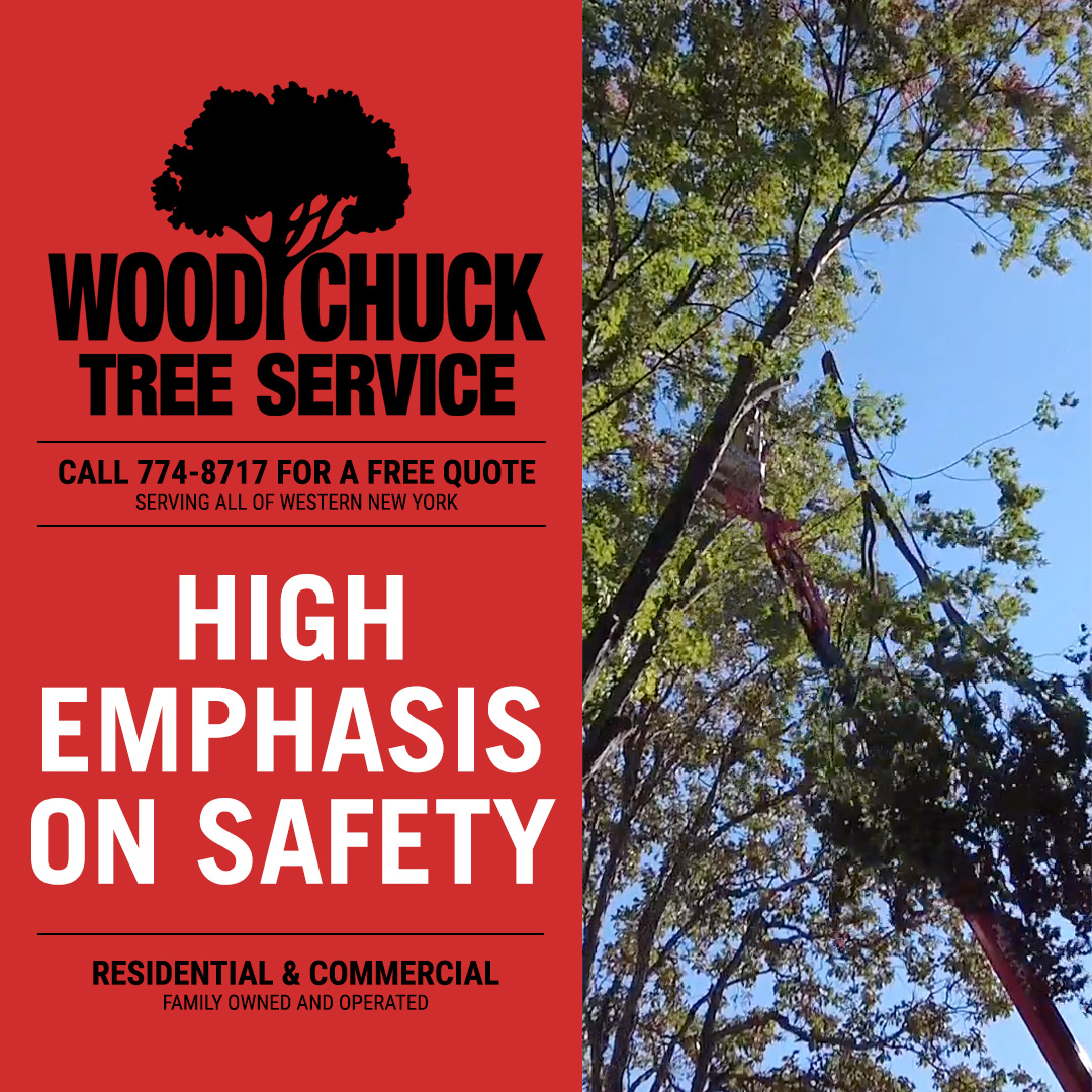 A High Emphasis on Safety WoodChuck Tree Service