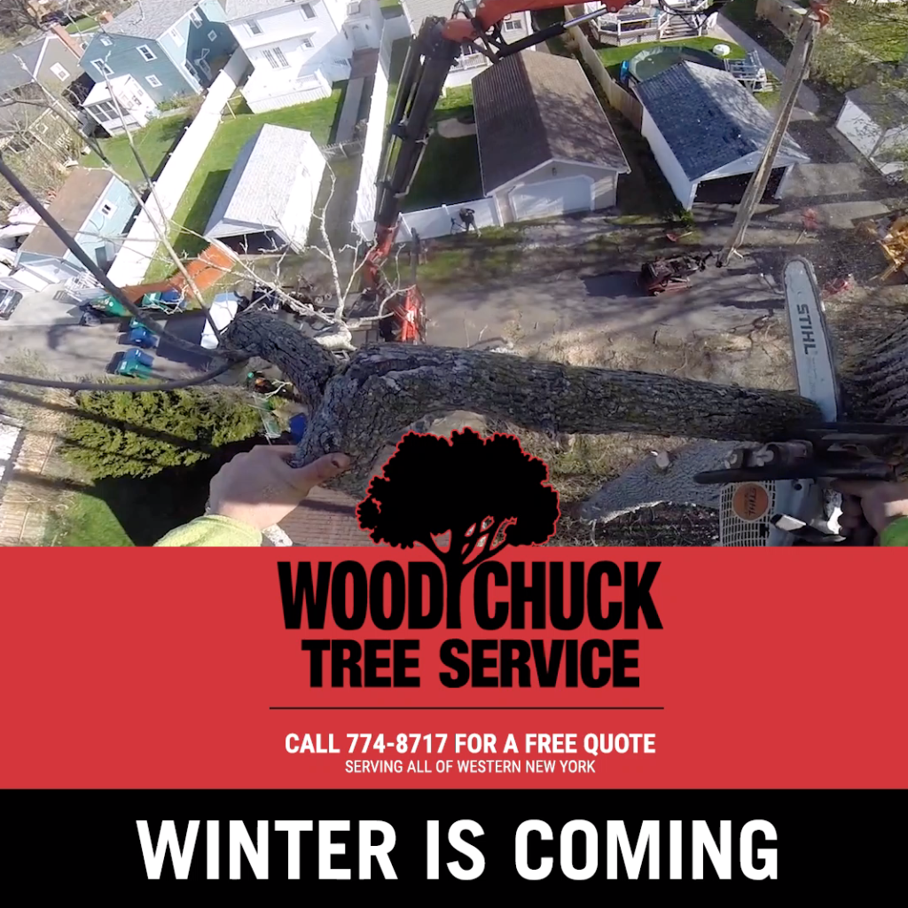 WoodChuck Tree Service offers emergency tree removal.