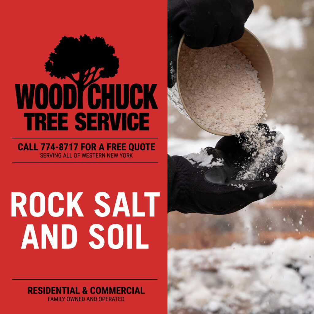 WoodChuck Tree Service winter tree care tip: how rock salt negatively effects soil.