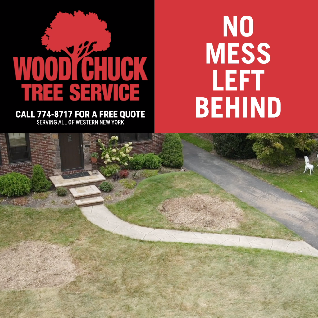 With WoodChuck Tree Service get tree removal with no mess left behind.