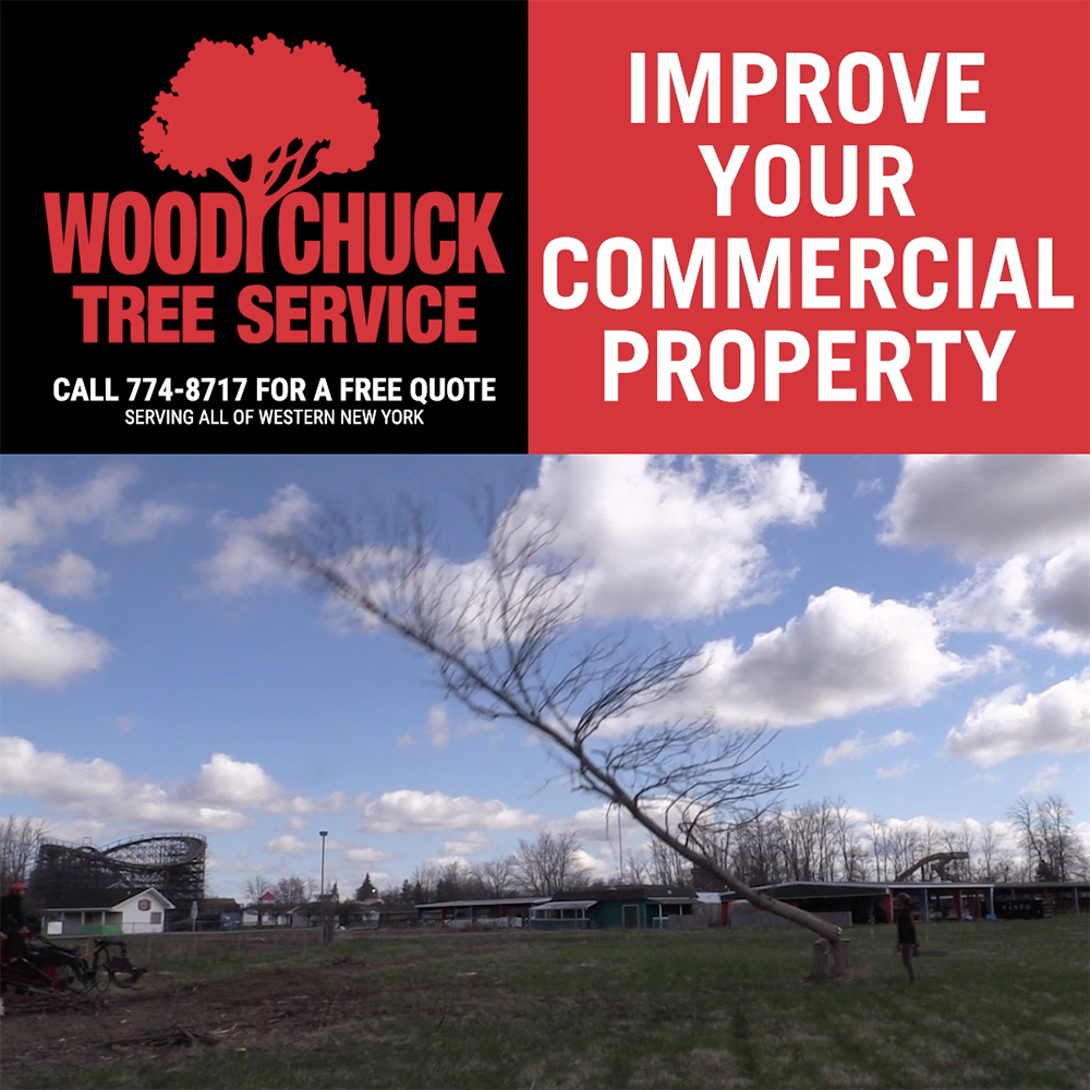 Get exceptional commercial tree removal with no disruption to the surrounding landscape when you choose WoodChuck Tree Service.
