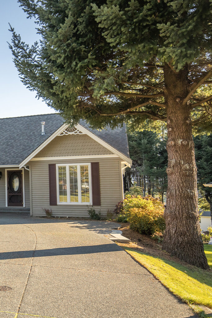 "Limbing" your tree, or removing the lower branches, could benefit your property in a few ways. Learn more or contact Woodchuck Tree Removal.