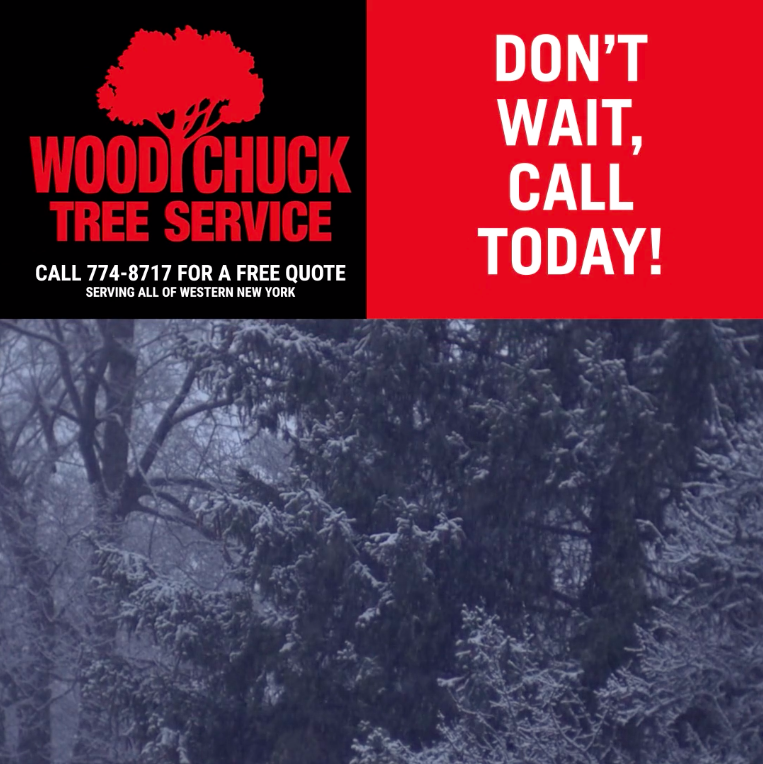 If snow or ice has left you with broken branches or even uprooted trees, contact WoodChuck Tree Service for professional tree removal.