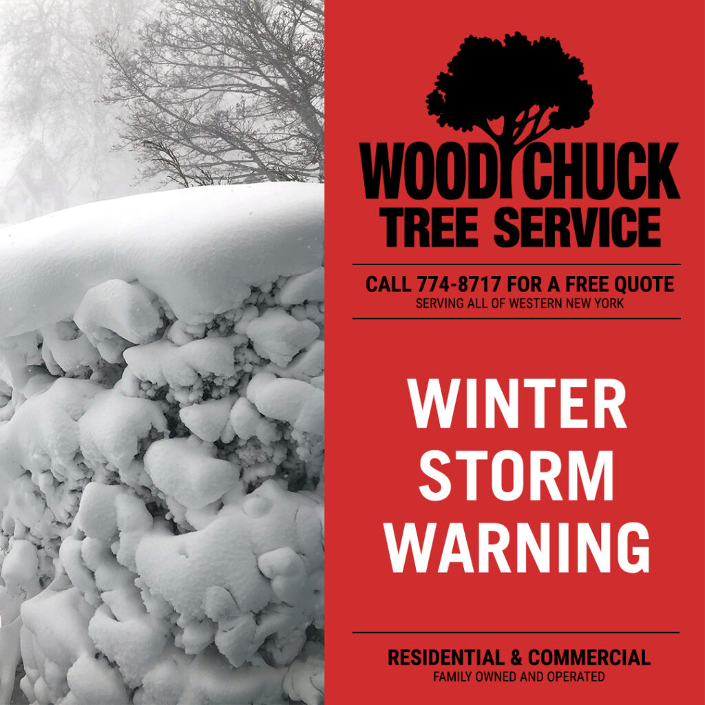 Winter storm warning: WoodChuck Tree Service offers emergency tree removal to restore your property.