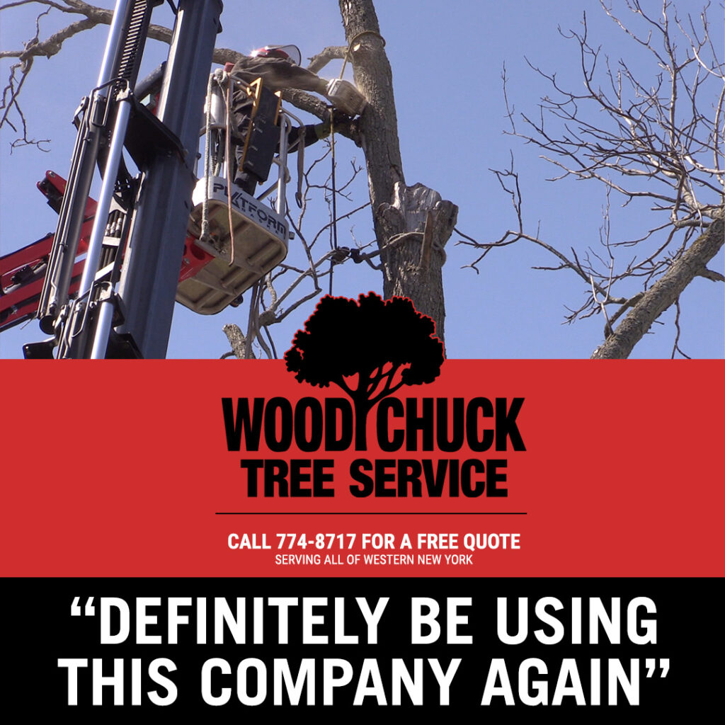 We're gearing up for the spring season! WoodChuck Tree Service can remove any size tree from any location.