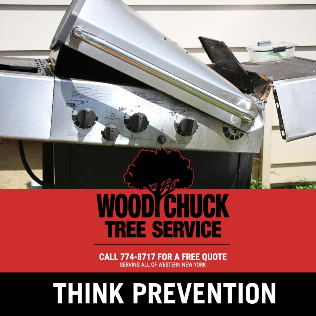 Prevent property damage and think prevention with professional tree removal service.