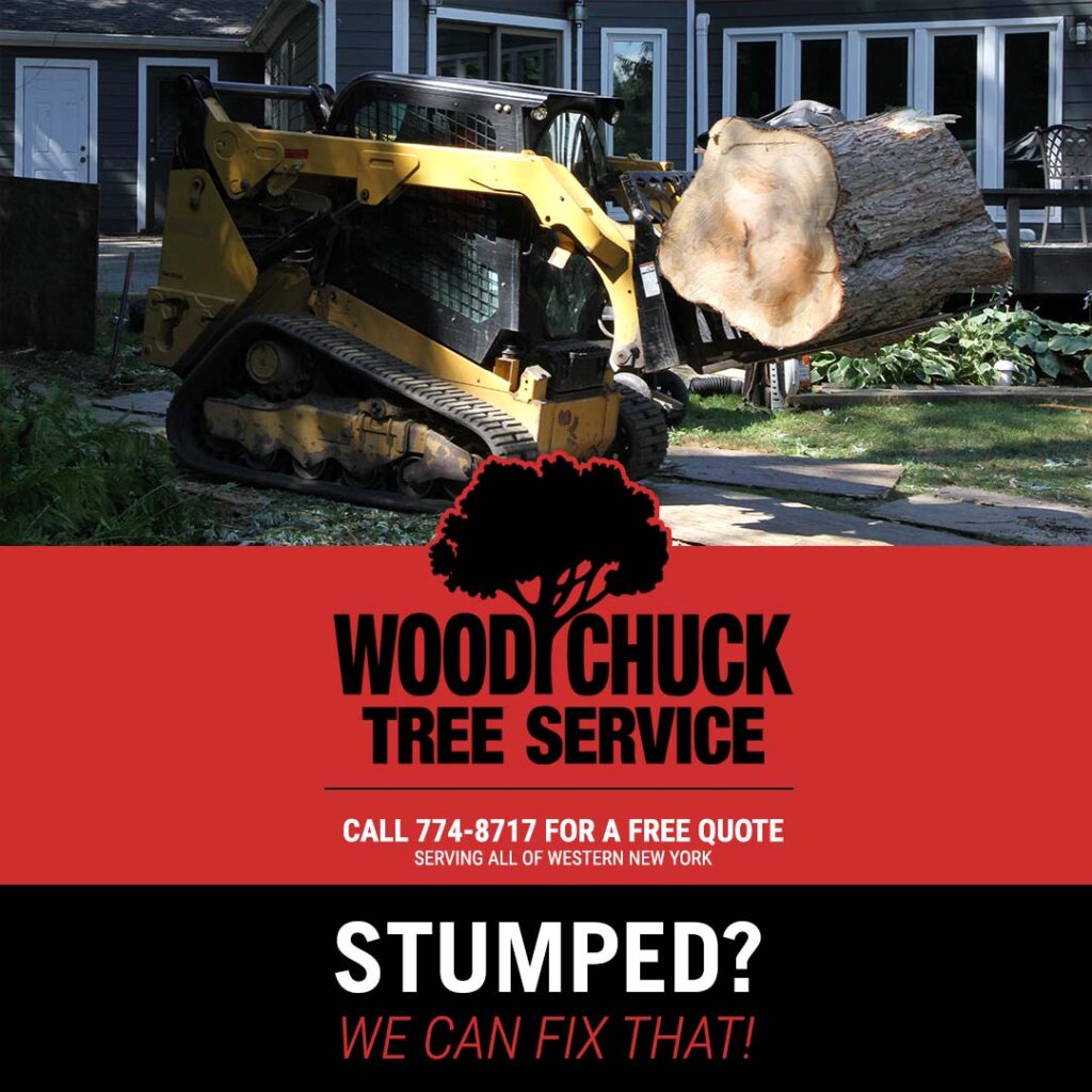 At WoodChuck Tree Service, we offer both residential and commercial stump grinding to restore your property. 