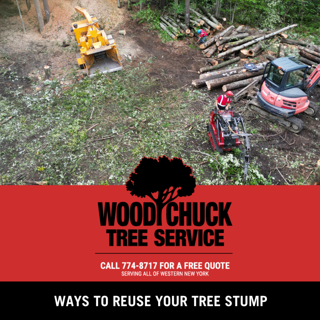 Ways To Reuse Your Tree Stump