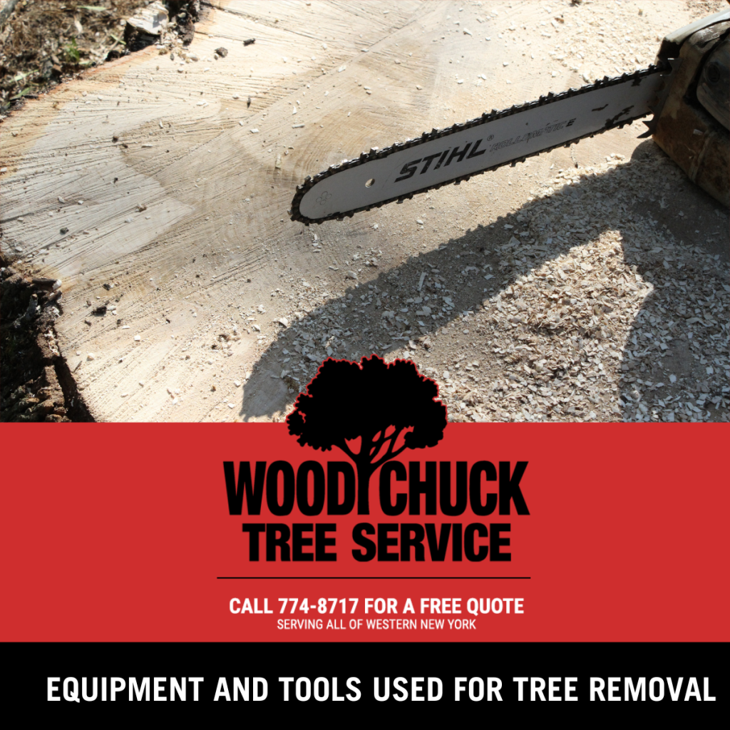 Equipment and Tools Used For Tree Removal