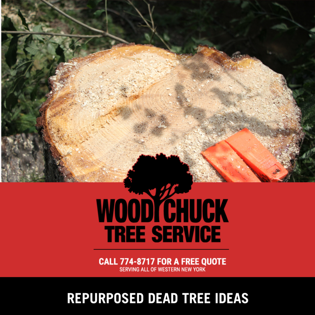 Repurposed Dead Tree Ideas