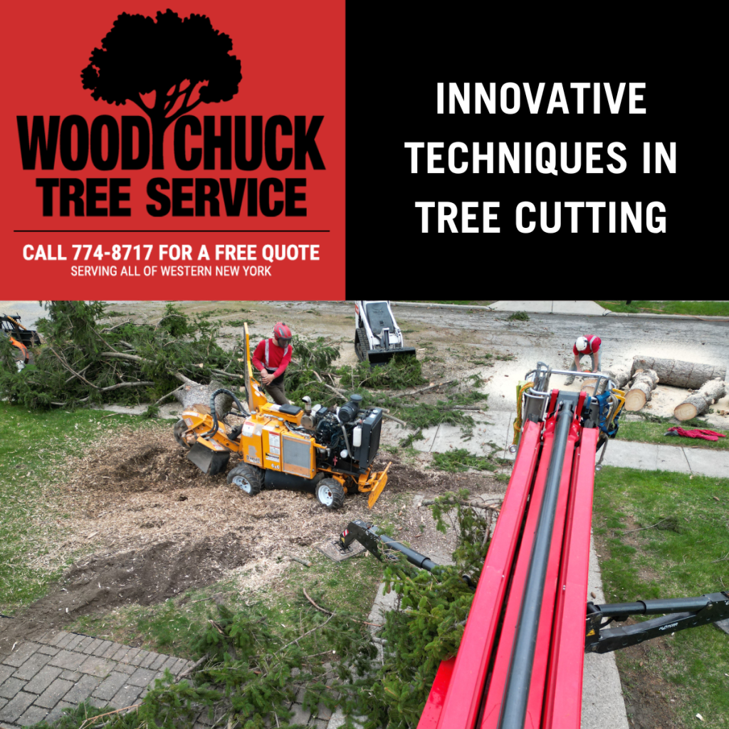 Innovative Techniques In Tree Cutting