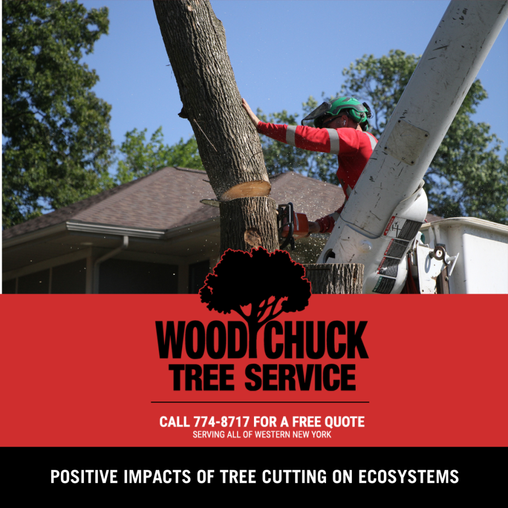 Positive Impacts of Tree Cutting on Ecosystems