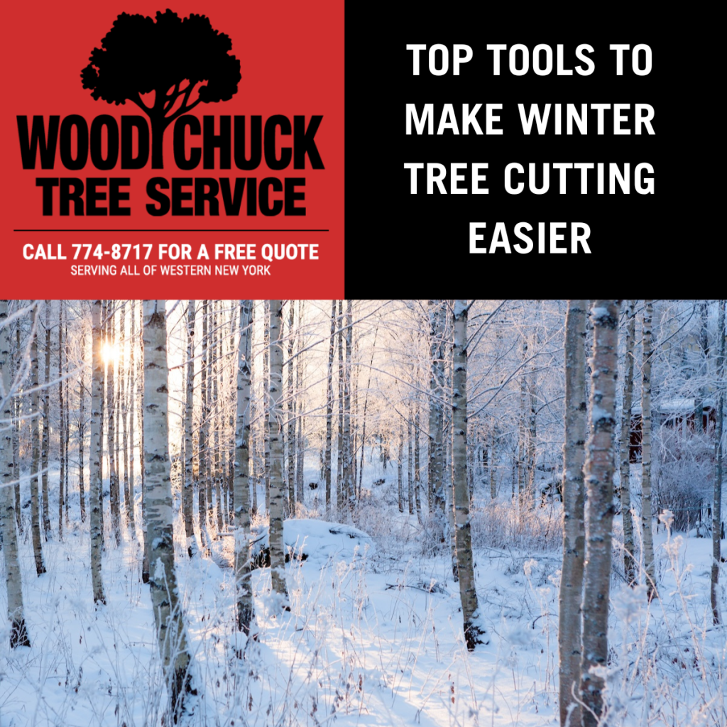 Top Tools to Make Winter Tree Cutting Easier