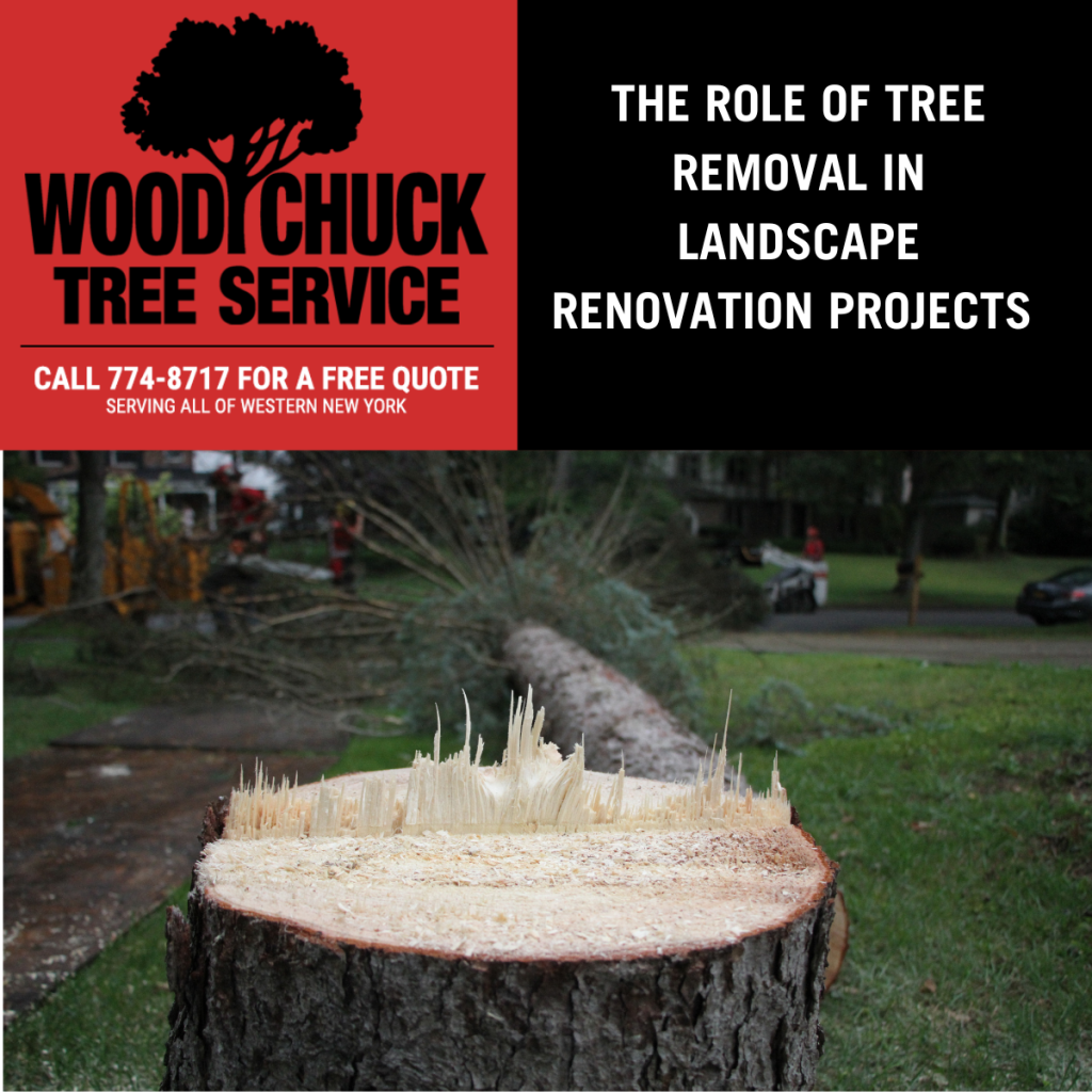 The Role of Tree Removal in Landscape Renovation Projects