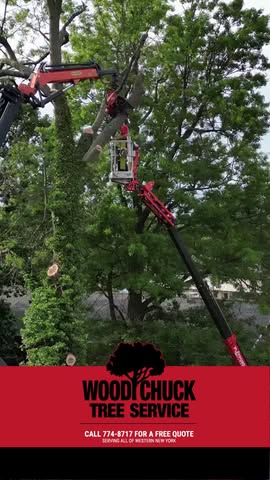 Read more about the article When experience matters, WoodChuck delivers