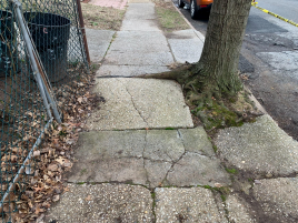 Read more about the article 3 Major Signs Your Tree Needs Professional Attention