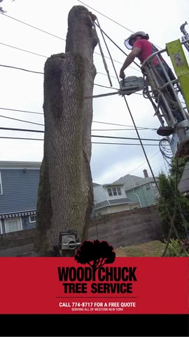 Read more about the article We don’t stop until the job is finished — from the first cut to the final cleanup.