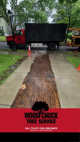 Read more about the article From trucks to heavy machinery, we have the tools to get any job done