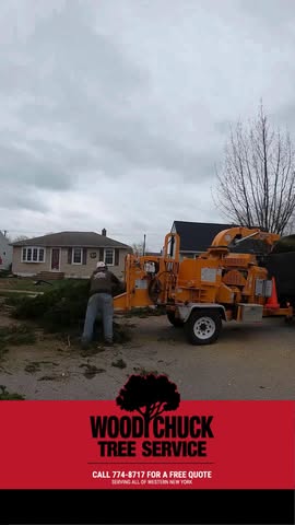 From problem tree to clean open space.