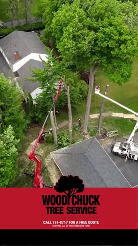 Read more about the article New season, new look for your property