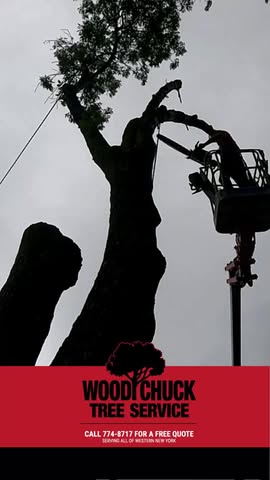 Piece by piece, done the right way