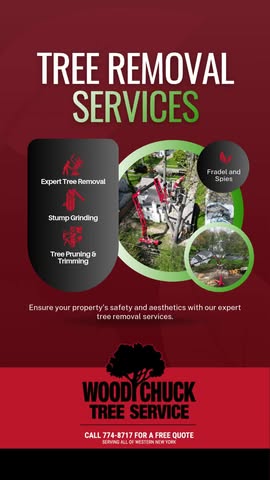 When it comes to tree removal, leave it to the professionals.