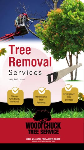 Safe, swift, and reliable tree removal — done right the first time