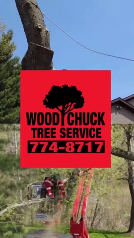 Got a stubborn stump that’s in the way?